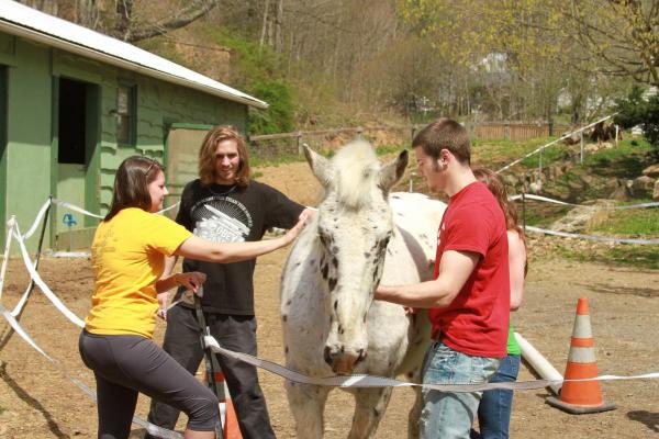 Students petting a horse